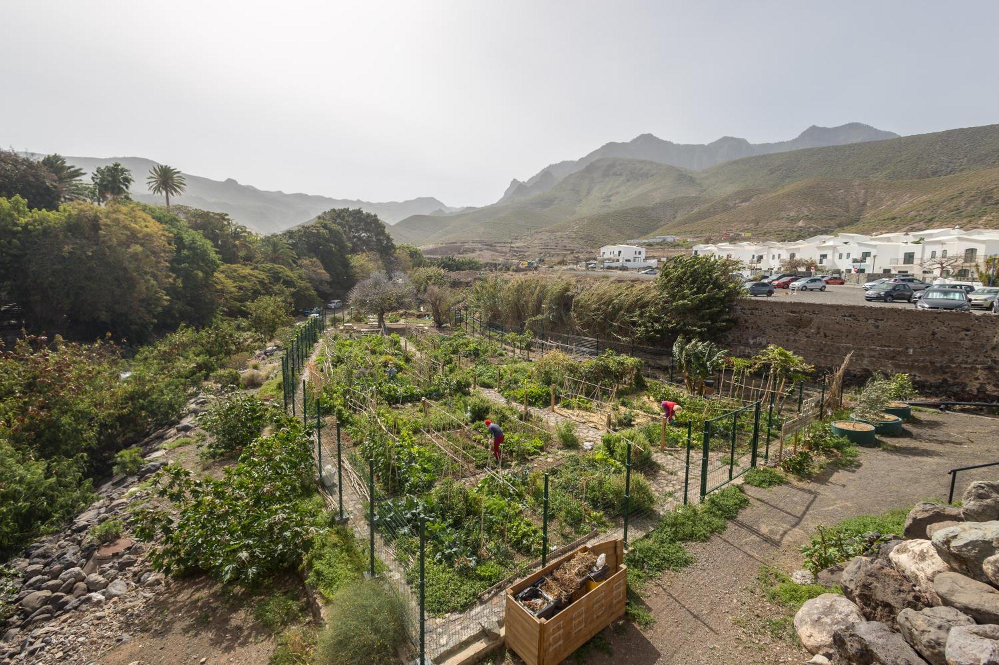 Ferienwohnung Casa Carmen Agaete Con Terraza Y Vistas Al Mar Exterior foto