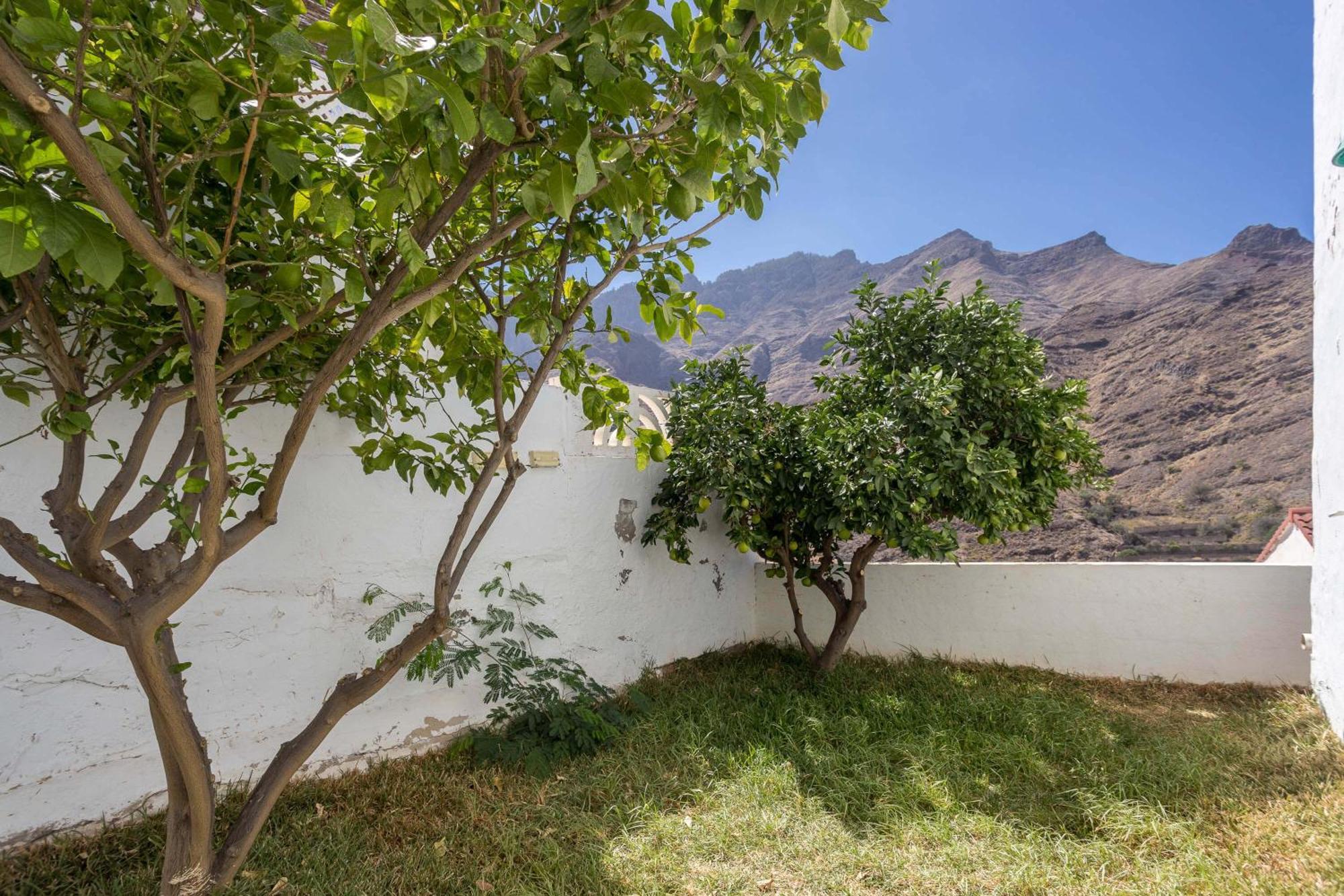 Ferienwohnung Casa Carmen Agaete Con Terraza Y Vistas Al Mar Exterior foto
