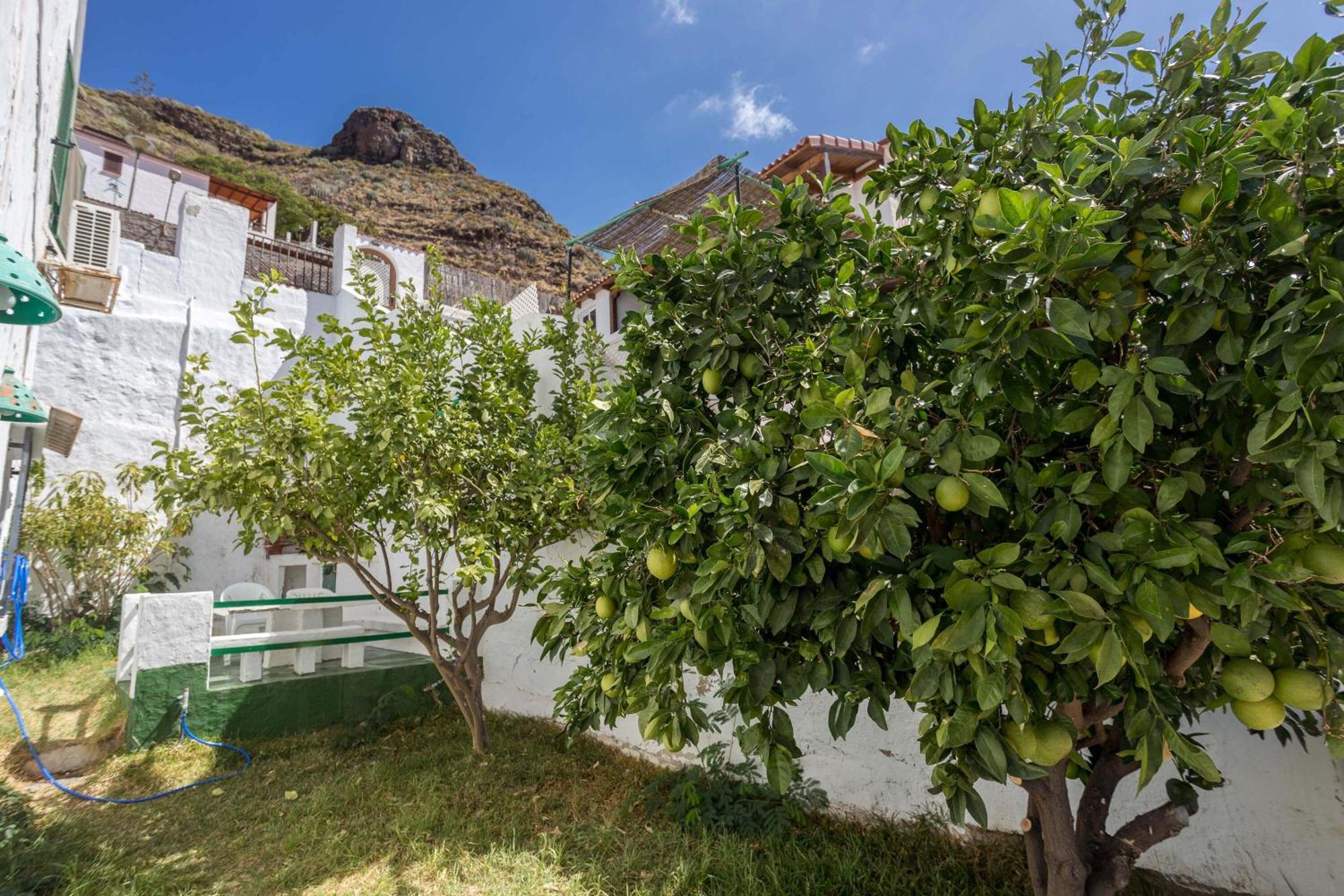 Ferienwohnung Casa Carmen Agaete Con Terraza Y Vistas Al Mar Exterior foto